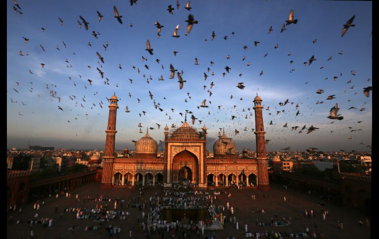 Palomas vuelan en la mezquita Jama Masjid de Nueva Delhi, India. AP/M. Swarup