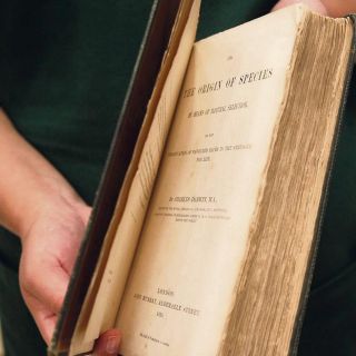 Pagan cinco millones de pesos por “El origen de las especies”