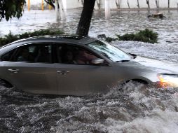 El Ejército Mexicano instrumentó el plan DN-III para apoyar a los afectados. EL INFORMADOR/ARCHIVO