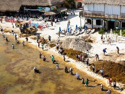 Decenas de personas empleadas por el Ayuntamiento continúan  con la limpieza del sargazo que invade las playas de Cancún. EFE/A. Valdéz