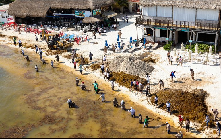 Decenas de personas empleadas por el Ayuntamiento continúan  con la limpieza del sargazo que invade las playas de Cancún. EFE/A. Valdéz