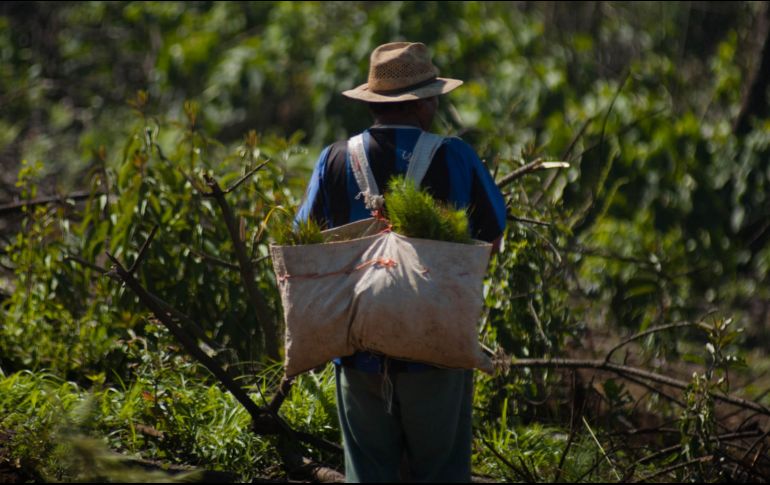 El grupo de inmigrantes partió la madrugada del pasado martes del municipio de Comitán abordo de una camioneta con destino a la Ciudad de México. NTX/ ARCHIVO
