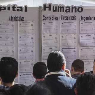 Ofrecerán empleo con reclutamiento masivo en Plaza Universidad