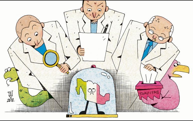 La falacia de los técnicos