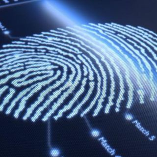 Huella dactilar, lo mejor para evitar delitos cibernéticos: expertos