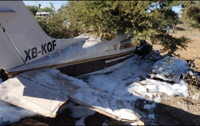 La avioneta con matrícula XB-KQF se impactó contra un árbol al caer. ESPECIAL
