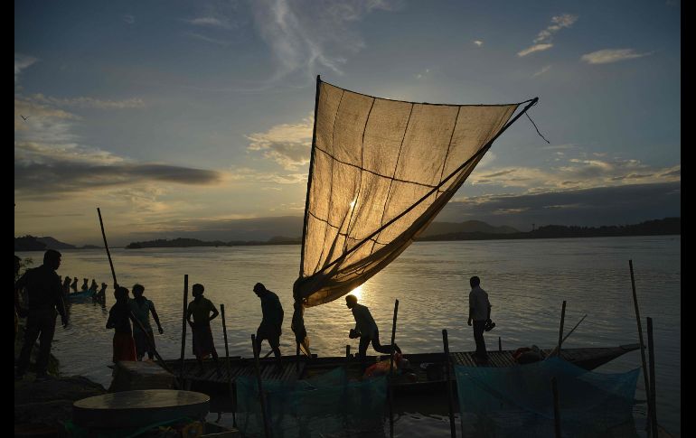 Pescadores cargan un bote con pescados para vender en el mercado en Guwahati, India. AFP/B. Boro