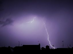 El actor Ryan Gosling posa para fotos con fans a su llegada a un pase para prensa de la película 