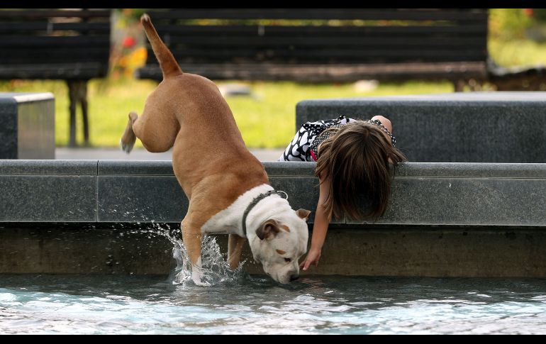Una niña se refresca junto a su perro en una fuente del centro de Belgrado, Serbia, en una jornada que ha dejado altas temperaturas en el país. EFE/ K. Sulejmanovic
