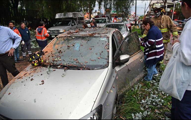 La fuerte lluvia que azotó la tarde del jueves al sur de la ciudad derribó árboles y afectó a automovilistas. SUN / F. Rodríguez