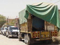 Lo asegurado quedó a disposición del Ministerio Público de la Federación. EL INFORMADOR/ ARCHIVO