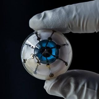 Logran imprimir en  3D receptores de luz para “ojo biónico”