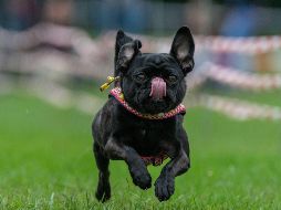 El mundo en imágenes del 2 de septiembre de 2018
