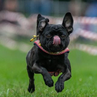 El mundo en imágenes del 2 de septiembre de 2018