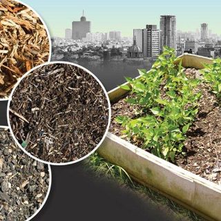 Expertos crean suelos artificiales para reverdecer la ciudad