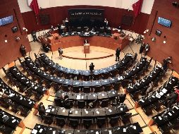  Los senadores de Movimiento Ciudadano exponen que dicha ley 