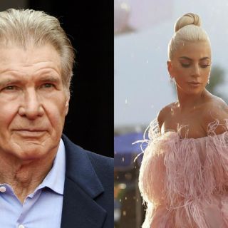 Harrison Ford y Lady Gaga recibirán premio Inspiración de Artistas