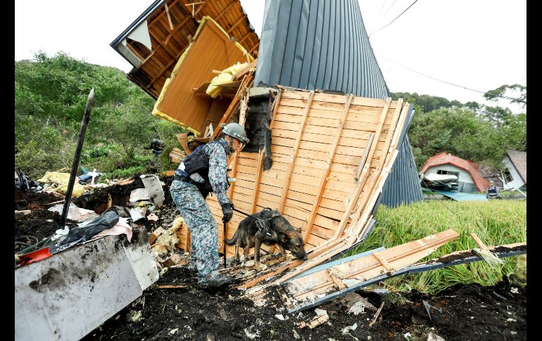 Un soldado y su perro rastreador buscan desaparecidos entre los escombros de una casa destruida en Atsuma, Japón, tras el alud causado por el terremoto de magnitud 6.7 que sacudió la isla de Hokkaido. Los muertos por el sismo ascienden a 18 y personas siguen desaparecidas. EFE/ K. Mayama