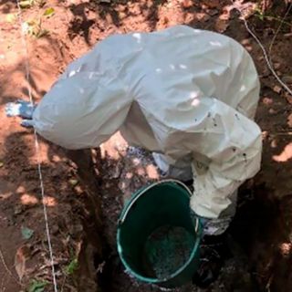 Iniciarán identificación de cuerpos localizados en fosas en Veracruz