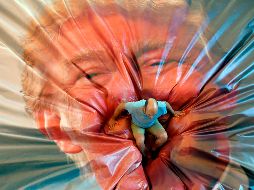 Un salto al rostro de Trump: arte polémico y catártico