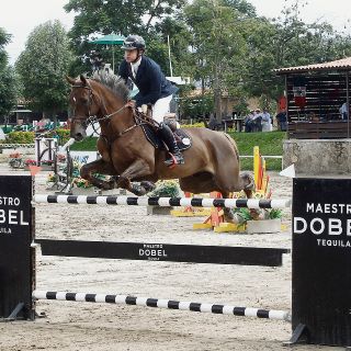 Clásico triunfo de Rodolfo Molina