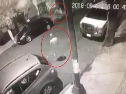 Ante la difusión de los videos en redes sociales, la Procuraduría capitalina informó que se inició carpeta de investigación correspondiente. TWITTER / @AnonymousMex_