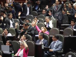 Durante el debate, algunos legisladores se manifestaron en contra del documento. SUN/L. Godínez