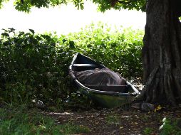 Fotografía que muestra la zona donde peritos y forenses trabajan en la comunidad de Arbolillo, donde está la fosa. EFE/M. Victoria