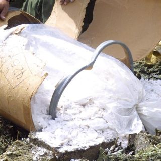 Reconocen que Colombia podría producir 980 toneladas de cocaína