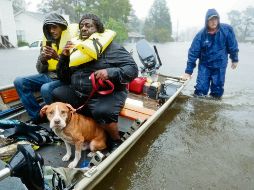 Equipos de salvaguarda continúan sus labores en la costa de Estados Unidos. EFO