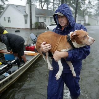 Cerca de un millón siguen sin electricidad por "Florence"