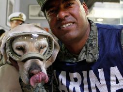 La Semar también argumentó que la solicitud hecha por los empresarios cerveceros 