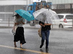 El SMN exhortó a la población a mantenerse informada mediante las páginas de internet www.gob.mx/conagua y http://smn.conagua.gob.mx. EFE / ARCHIVO