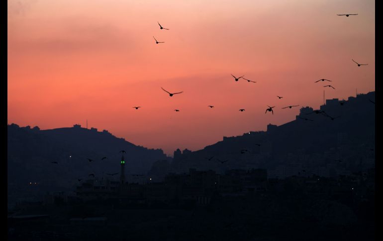 Pájaros vuelan sobre un campamento de refugiados en Nablus, Cisjordania. AFP/J. Ashtiyeh