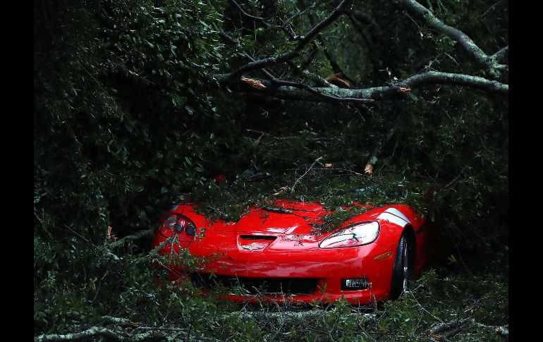 Un auto dañado por la caída de un árbol. Otra de las principales tareas de los equipos de rescate acuático de la Guardia Costera es limpiar las vías para que los vehículos de emergencia.