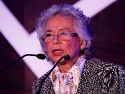 Sánchez Cordero detalló que voluntarios recorrerán todo el país para visitar las familias para conocer la situación de los jóvenes, adultos mayores y personas con discapacidad. SUN / ARCHIVO