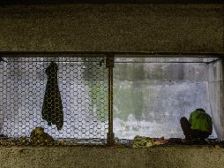 El gobierno municipal presumió que desde la implementación del programa de atención a personas en situación de calle, se han atendido a ocho mil 377 ciudadanos, y ha otorgado 107 mil 780 servicios. EL INFORMADOR/ ARCHIVO