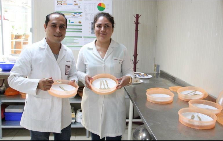 Los investigadores resaltan que otro propósito del proyecto es generar diferentes productos para diversificar el consumo del salvado de arroz. TWITTER / @IPN_MX