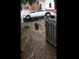 En imágenes compartidas en las redes sociales se observan automóviles arrastrados por las fuertes corrientes de agua en las calles de la capital de Sinaloa. TWITTER