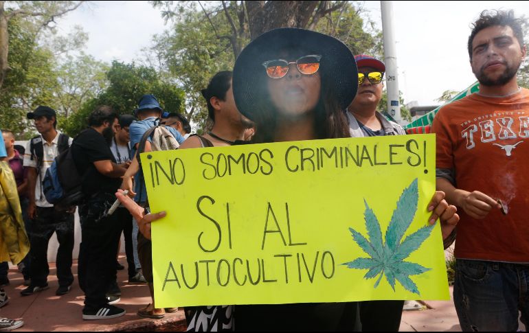 El reglamento de la marihuana ya lo han abordado autoridades de salud con el próximo secretario de Salud, Jorge Alcocer. EL INFORMADOR / ARCHIVO