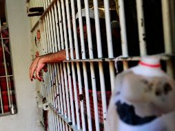 Se estima que más de 40% de las personas detenidas por posesión de mariguana portaba cantidades mínimas. EL INFORMADOR/Archivo