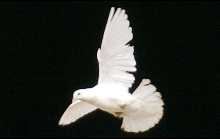 La Comisión también recuerda que 