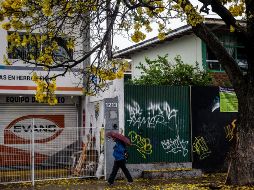 Durante esta estación en México, la vegetación cambia de color y comienza el desprendimiento de las hojas de los árboles; además, se registran los primeros frentes fríos y continúan las lluvias. EL INFORMADOR / ARCHIVO