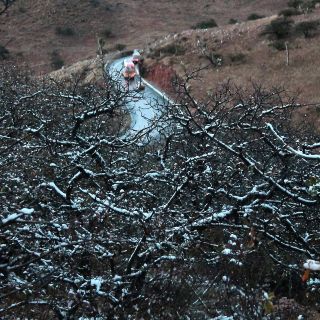 San Luis Potosí tiene 12 mil nuevas hectáreas de Área Natural Protegida