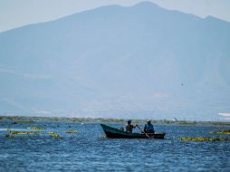 Además de en Chapala, se registraron incrementos significativos en otras cinco presas.EL INFORMADOR/ARCHVO