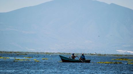 Además de en Chapala, se registraron incrementos significativos en otras cinco presas.EL INFORMADOR/ARCHVO