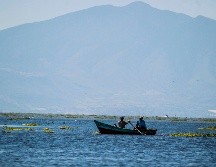 Además de en Chapala, se registraron incrementos significativos en otras cinco presas.EL INFORMADOR/ARCHVO