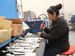 Informan que la fuerza laboral del país asciende actualmente a 55.6 millones de personas, de la cual 97 por ciento está ocupada. EL INFORMADOR / ARCHIVO