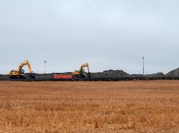 China le compra a Estados Unidos un tercio de su producción de soya. AP/Archivo