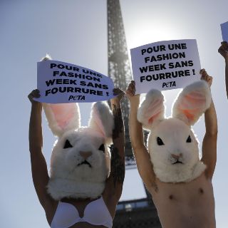 El mundo en imágenes del 25 de septiembre de 2018